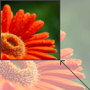Image
Scaling Library